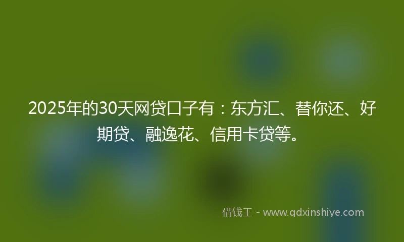 2025年的30天网贷口子有:东方汇、替你还、好期贷、融逸花、信用卡贷等。