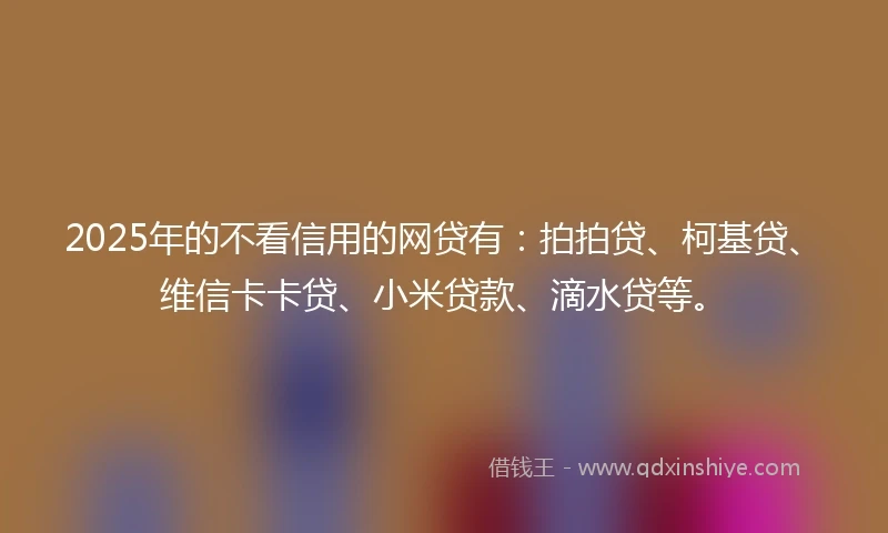 2025年的不看信用的网贷有:拍拍贷、柯基贷、维信卡卡贷、小米贷款、滴水贷等。