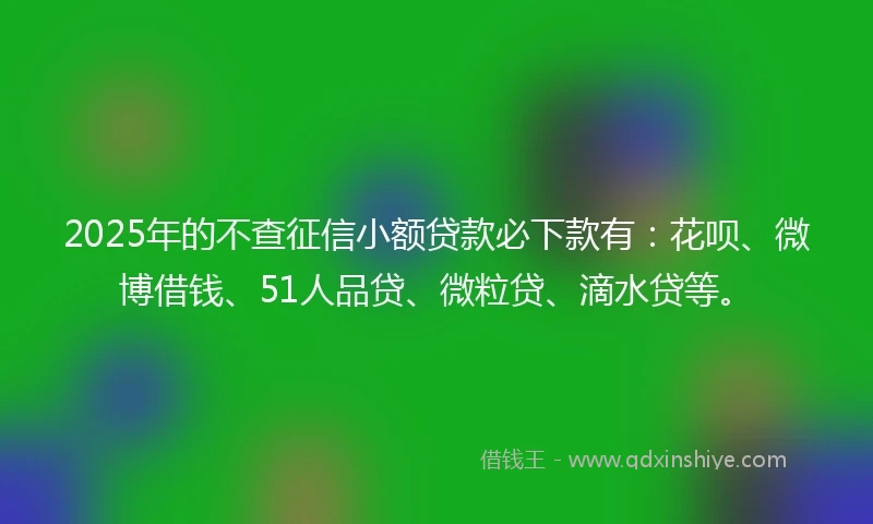 2025年的不查征信小额贷款必下款有：花呗、微博借钱、51人品贷、微粒贷、滴水贷等。