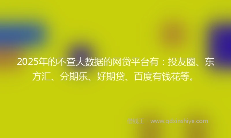 2025年的不查大数据的网贷平台有：投友圈、东方汇、分期乐、好期贷、百度有钱花等。