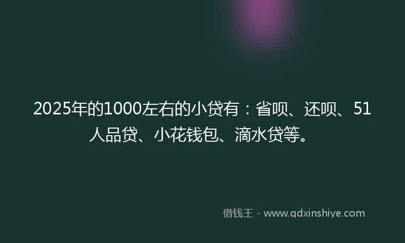 2025年的1000左右的小贷有：省呗、还呗、51人品贷、小花钱包、滴水贷等。
