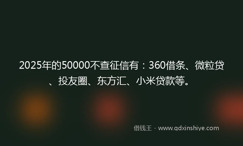 2025年的50000不查征信有：360借条、微粒贷、投友圈、东方汇、小米贷款等。