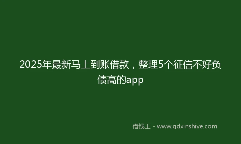 2025年最新马上到账借款，整理5个征信不好负债高的app