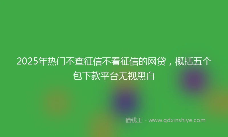 2025年热门不查征信不看征信的网贷，概括五个包下款平台无视黑白