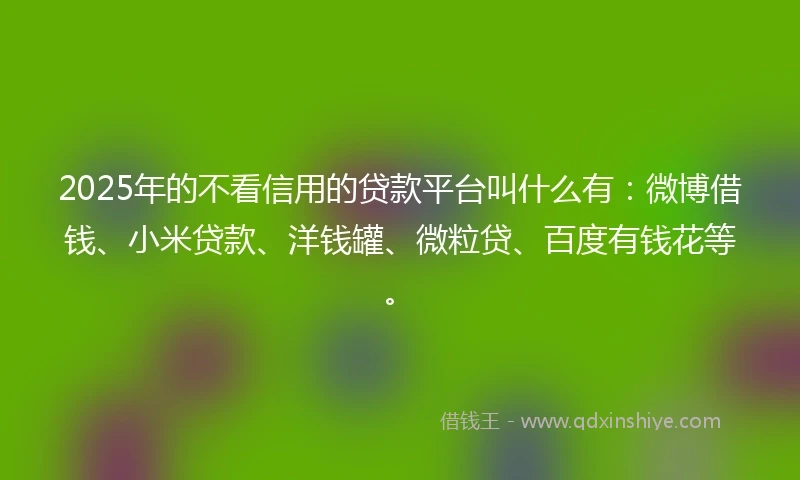 2025年的不看信用的贷款平台叫什么有：微博借钱、小米贷款、洋钱罐、微粒贷、百度有钱花等。