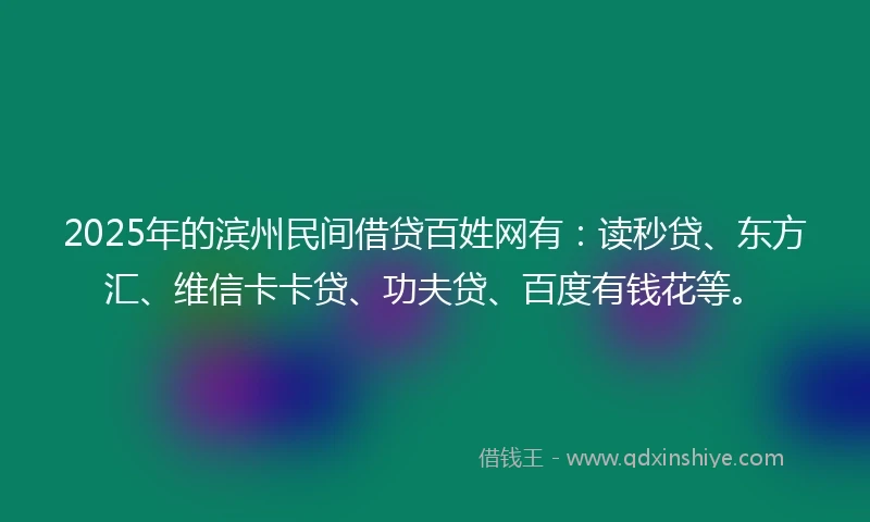 2025年的滨州民间借贷百姓网有：读秒贷、东方汇、维信卡卡贷、功夫贷、百度有钱花等。