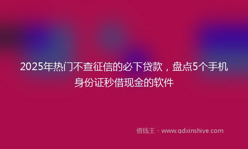 2025年热门不查征信的必下贷款，盘点5个手机身份证秒借现金的软件