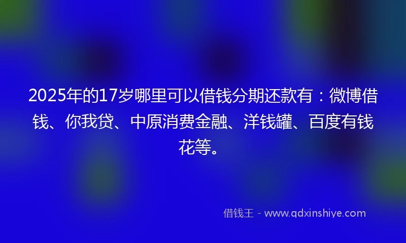 2025年的17岁哪里可以借钱分期还款有：微博借钱、你我贷、中原消费金融、洋钱罐、百度有钱花等。