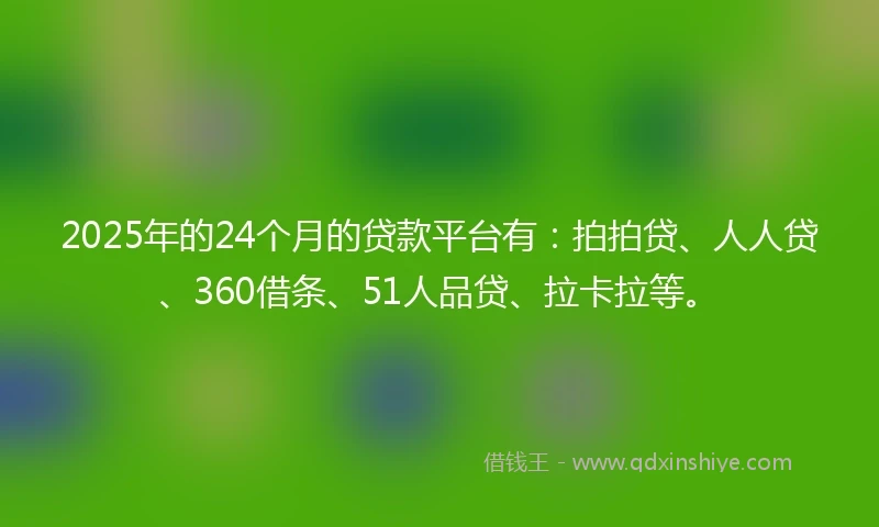 2025年的24个月的贷款平台有：拍拍贷、人人贷、360借条、51人品贷、拉卡拉等。