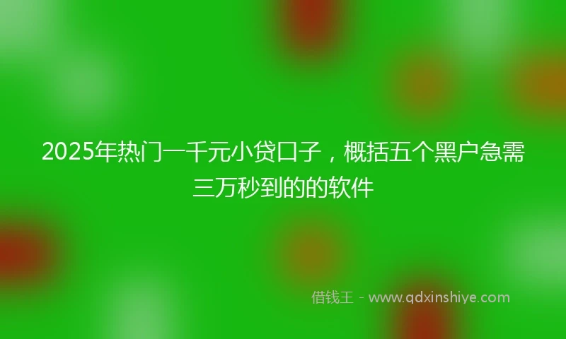 2025年热门一千元小贷口子，概括五个黑户急需三万秒到的的软件