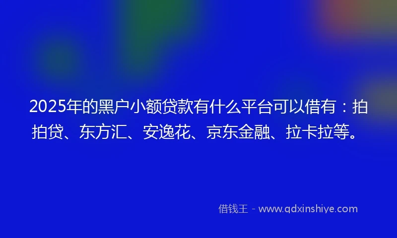2025年的黑户小额贷款有什么平台可以借有:拍拍贷、东方汇、安逸花、京东金融、拉卡拉等。