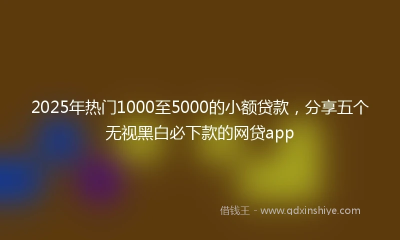 2025年热门1000至5000的小额贷款，分享五个无视黑白必下款的网贷app