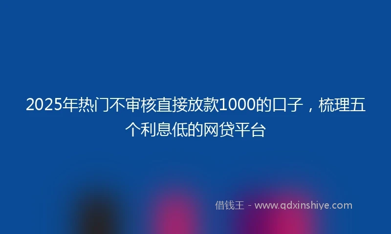 2025年热门不审核直接放款1000的口子，梳理五个利息低的网贷平台