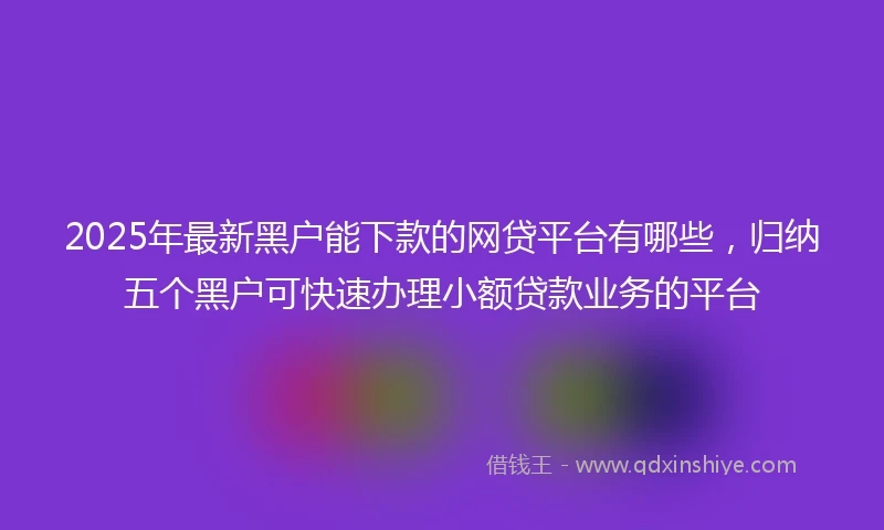 2025年最新黑户能下款的网贷平台有哪些，归纳五个黑户可快速办理小额贷款业务的平台