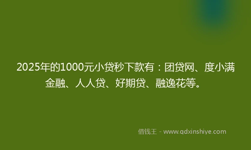 2025年的1000元小贷秒下款有：团贷网、度小满金融、人人贷、好期贷、融逸花等。