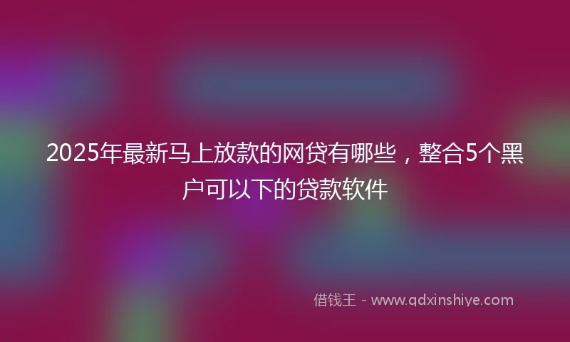 2025年最新马上放款的网贷有哪些，整合5个黑户可以下的贷款软件