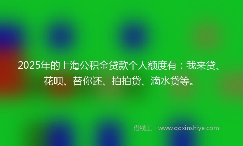 2025年的上海公积金贷款个人额度有:我来贷、花呗、替你还、拍拍贷、滴水贷等。
