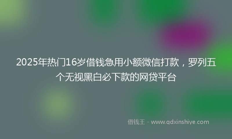 2025年热门16岁借钱急用小额微信打款，罗列五个无视黑白必下款的网贷平台