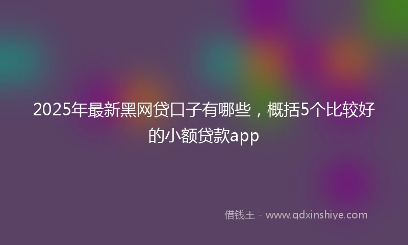 2025年最新黑网贷口子有哪些，概括5个比较好的小额贷款app