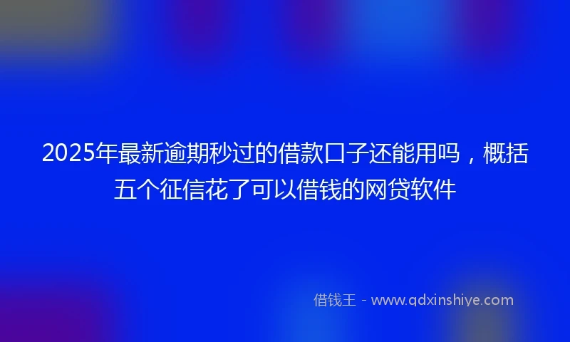 2025年最新逾期秒过的借款口子还能用吗,概括五个征信花了可以借钱的网贷软件