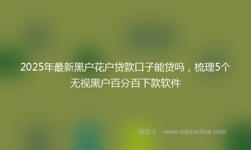 2025年最新黑户花户贷款口子能贷吗，梳理5个无视黑户百分百下款软件