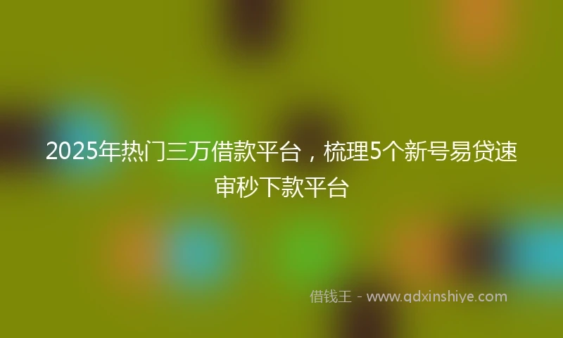 2025年热门三万借款平台，梳理5个新号易贷速审秒下款平台