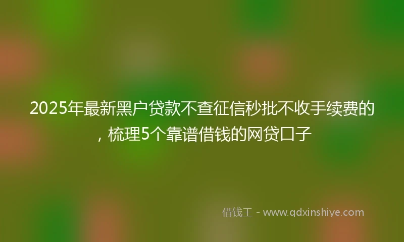 2025年最新黑户贷款不查征信秒批不收手续费的,梳理5个靠谱借钱的网贷口子