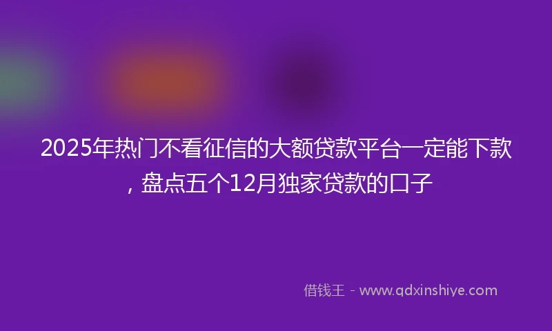 2025年热门不看征信的大额贷款平台一定能下款,盘点五个12月独家贷款的口子