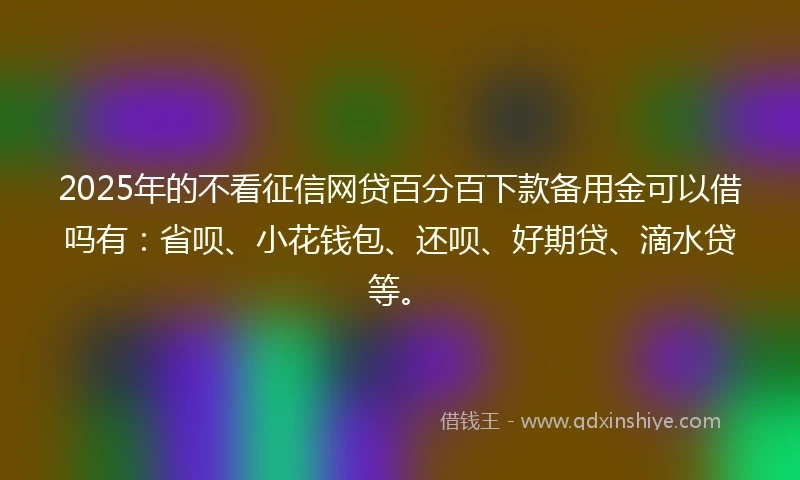 2025年的不看征信网贷百分百下款备用金可以借吗有：省呗、小花钱包、还呗、好期贷、滴水贷等。