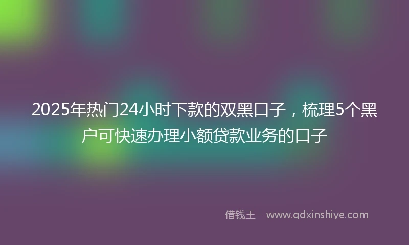2025年热门24小时下款的双黑口子，梳理5个黑户可快速办理小额贷款业务的口子