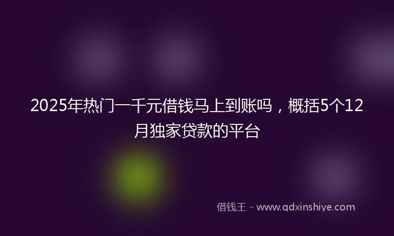 2025年热门一千元借钱马上到账吗，概括5个12月独家贷款的平台