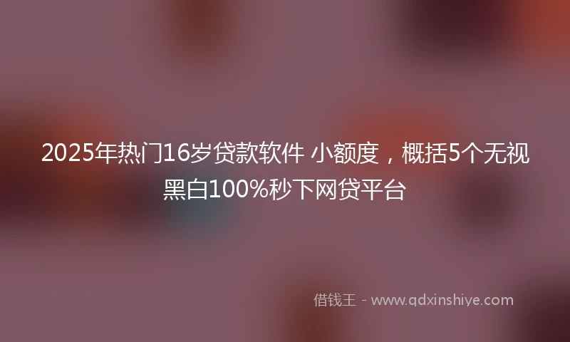 2025年热门16岁贷款软件 小额度，概括5个无视黑白100%秒下网贷平台