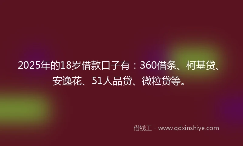2025年的18岁借款口子有：360借条、柯基贷、安逸花、51人品贷、微粒贷等。
