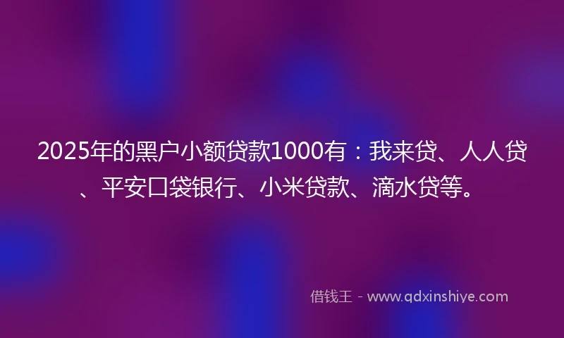 2025年的黑户小额贷款1000有：我来贷、人人贷、平安口袋银行、小米贷款、滴水贷等。