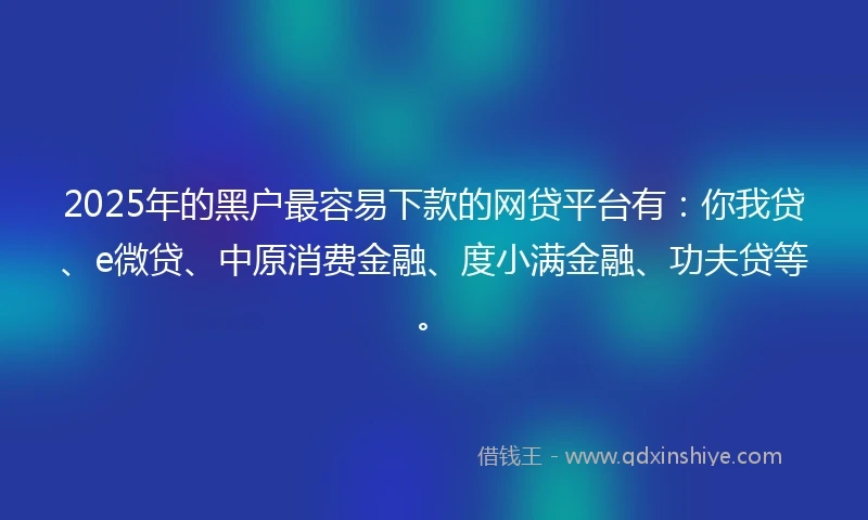 2025年的黑户最容易下款的网贷平台有：你我贷、e微贷、中原消费金融、度小满金融、功夫贷等。