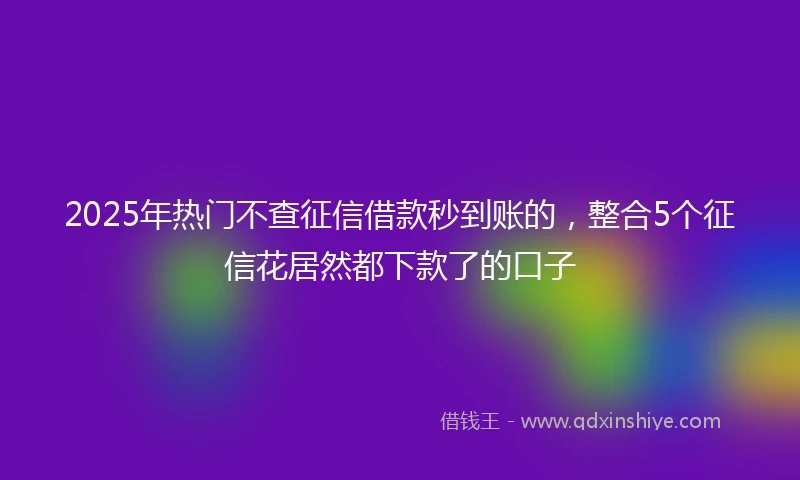 2025年热门不查征信借款秒到账的,整合5个征信花居然都下款了的口子