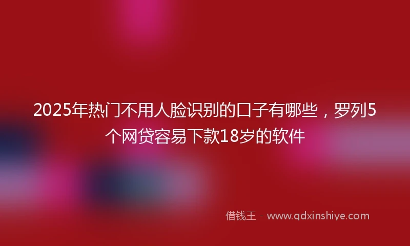 2025年热门不用人脸识别的口子有哪些，罗列5个网贷容易下款18岁的软件