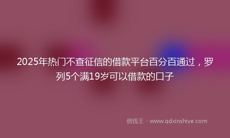 2025年热门不查征信的借款平台百分百通过，罗列5个满19岁可以借款的口子