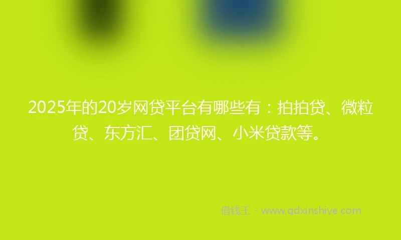 2025年的20岁网贷平台有哪些有：拍拍贷、微粒贷、东方汇、团贷网、小米贷款等。