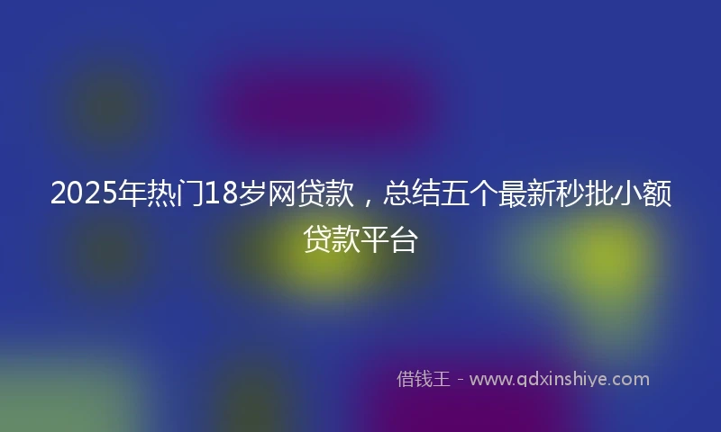 2025年热门18岁网贷款，总结五个最新秒批小额贷款平台
