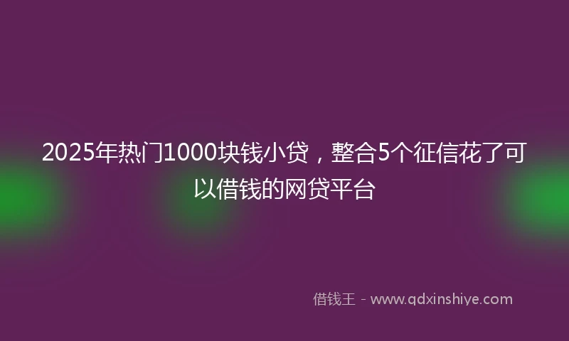 2025年热门1000块钱小贷,整合5个征信花了可以借钱的网贷平台