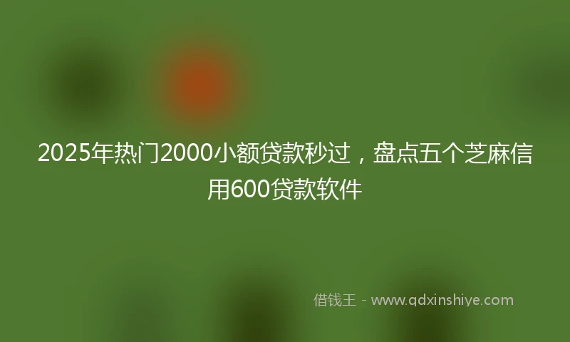 2025年热门2000小额贷款秒过，盘点五个芝麻信用600贷款软件