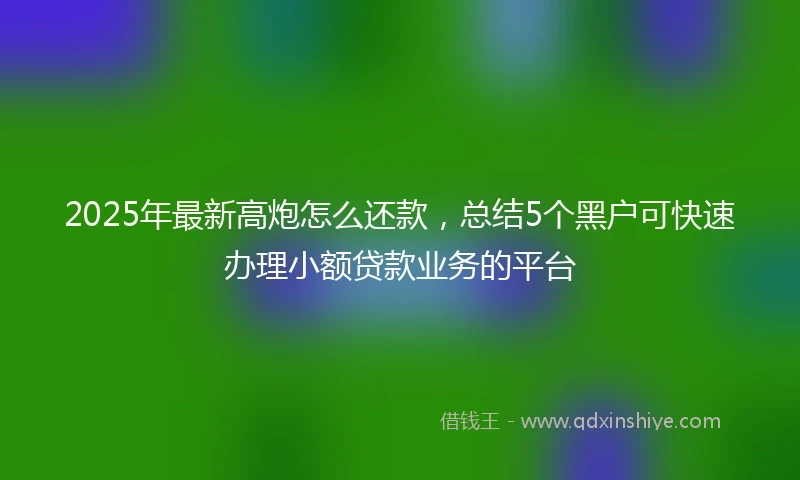 2025年最新高炮怎么还款，总结5个黑户可快速办理小额贷款业务的平台