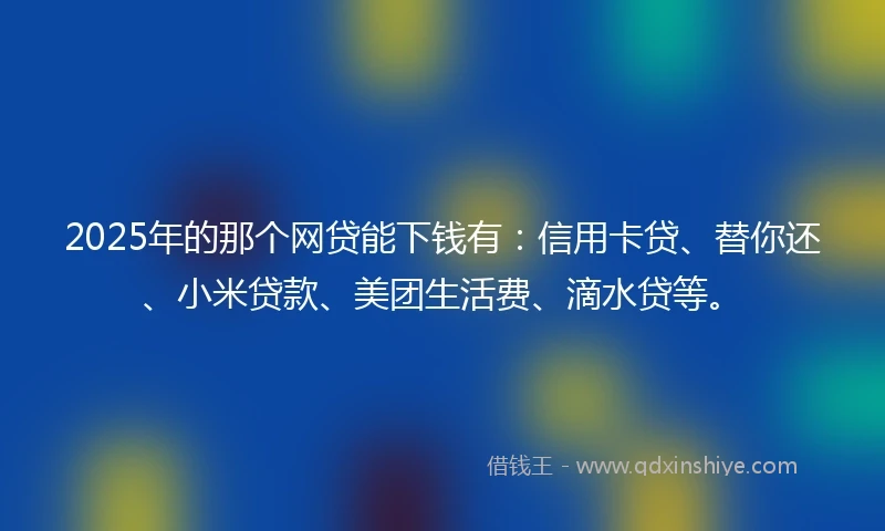 2025年的那个网贷能下钱有：信用卡贷、替你还、小米贷款、美团生活费、滴水贷等。