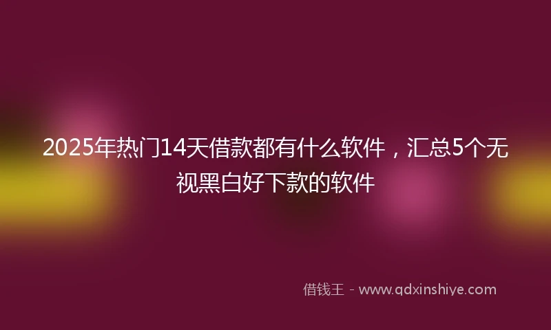 2025年热门14天借款都有什么软件，汇总5个无视黑白好下款的软件