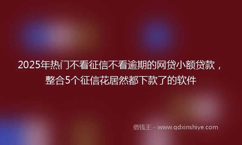 2025年热门不看征信不看逾期的网贷小额贷款，整合5个征信花居然都下款了的软件
