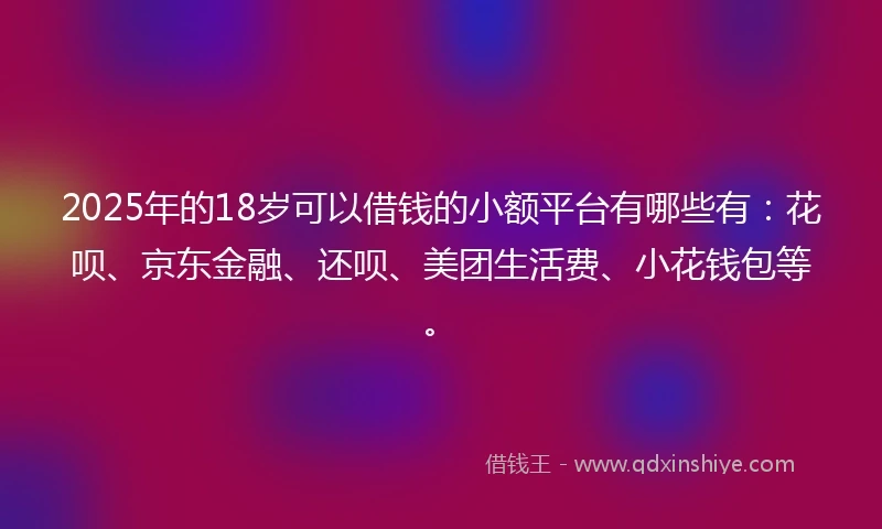 2025年的18岁可以借钱的小额平台有哪些有：花呗、京东金融、还呗、美团生活费、小花钱包等。