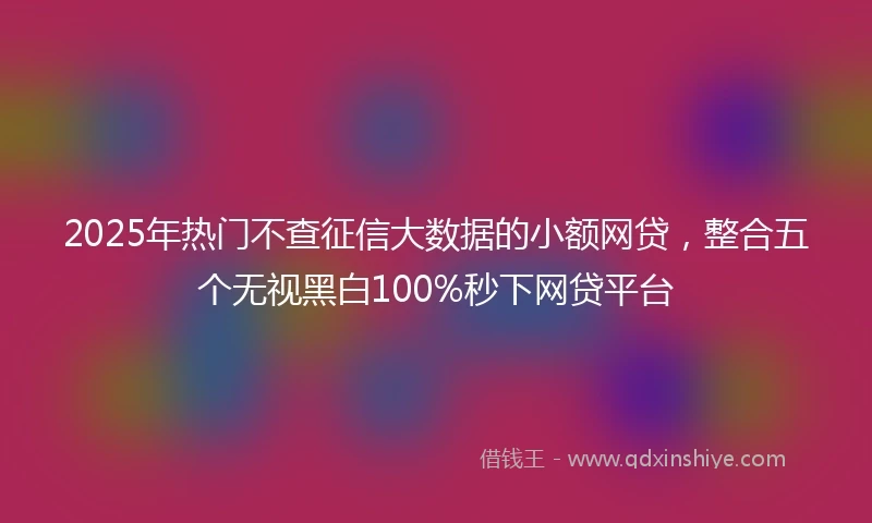 2025年热门不查征信大数据的小额网贷，整合五个无视黑白100%秒下网贷平台