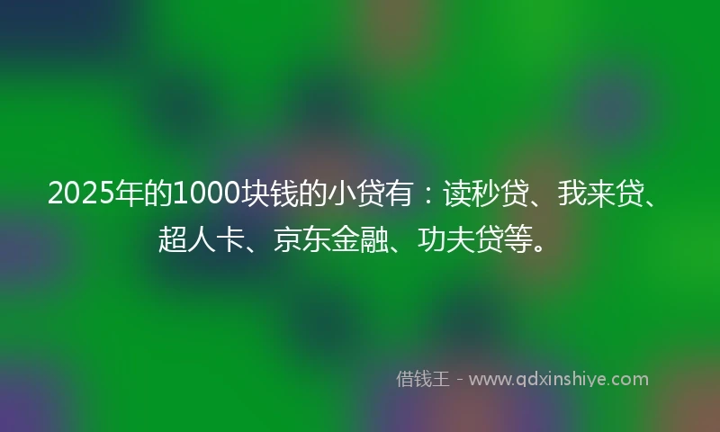 2025年的1000块钱的小贷有：读秒贷、我来贷、超人卡、京东金融、功夫贷等。
