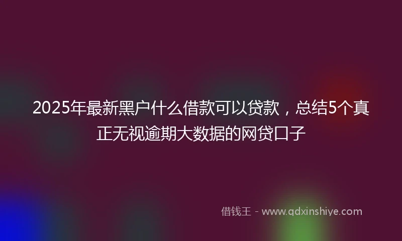 2025年最新黑户什么借款可以贷款，总结5个真正无视逾期大数据的网贷口子